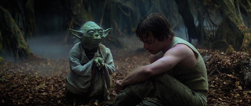 Yoda&Luke